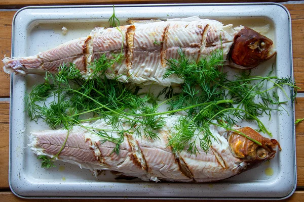 两个煮熟的鱼配上青菜的头像 — 图库照片