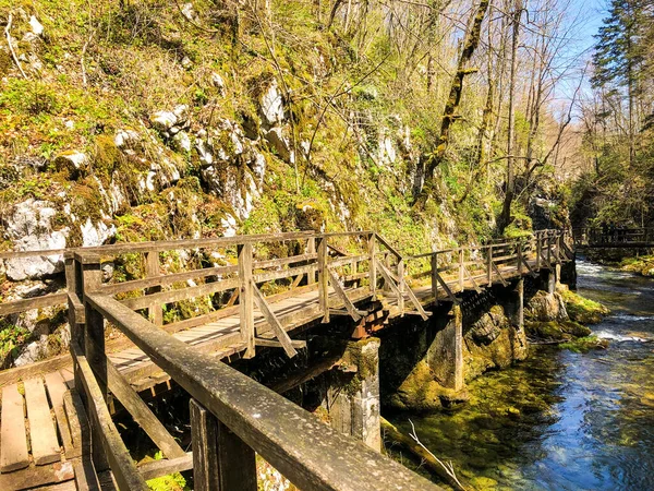 Una Hermosa Toma Puente Sobre Río Bosque — Foto de Stock