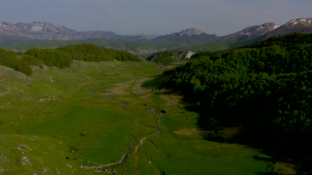 Eine Luftaufnahme Des Kurvenflusses Auf Der Grünen Wiese Bosnien Und — Stockvideo