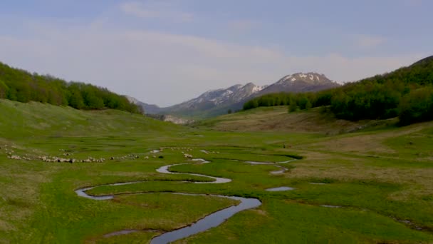 Όμορφη Θέα Του Ποταμού Καμπύλη Στο Πράσινο Πεδίο Στη Βοσνία — Αρχείο Βίντεο