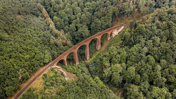 Una Toma Aérea Del Puente Del Viaducto Schmittentobel Schmitten Suiza — Foto de Stock