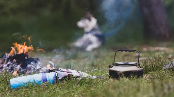 Eine Selektive Aufnahme Von Zeltwerkzeugen Der Nähe Des Feuers Der — Stockfoto