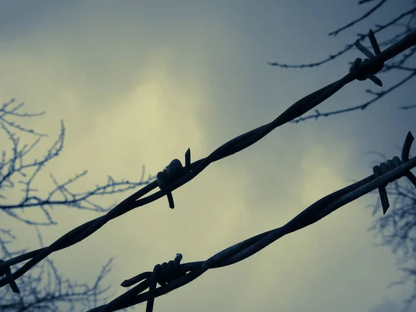 Detailní Záběr Ostnatého Drátu Pozadí Zatažené Oblohy — Stock fotografie