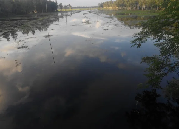 Une Rivière Avec Ciel Nuageux Reflet Entouré Arbres Denses — Photo