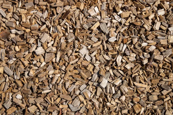Top View Wood Chips Ground — Stock Photo, Image