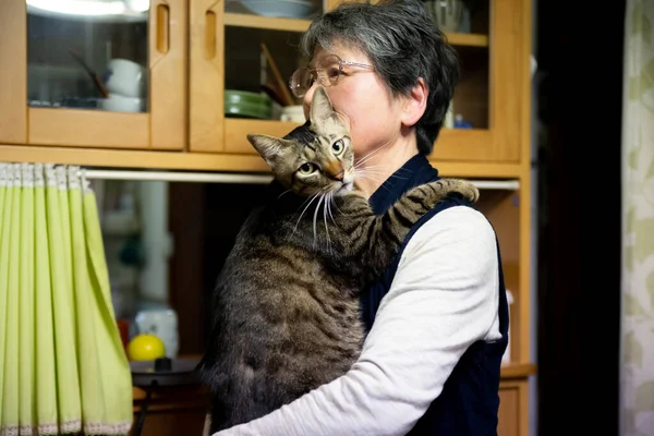 Una Signora Giapponese Anziana Che Tiene Suo Simpatico Gatto Dagli — Foto Stock