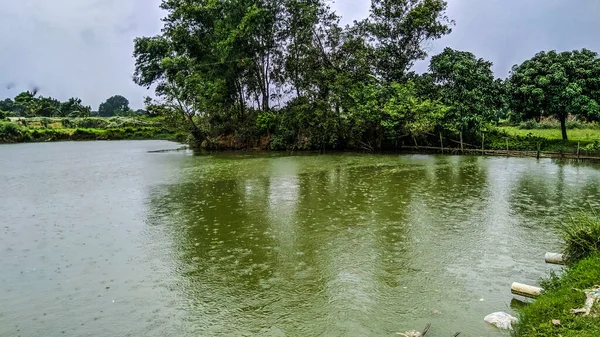 Verde Reflejando Agua Con Árboles Verdes — Foto de Stock