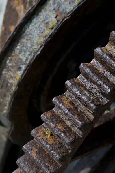 Closeup Shot Worn Out Rusty Chain Gear Wheels Mechanism — Φωτογραφία Αρχείου