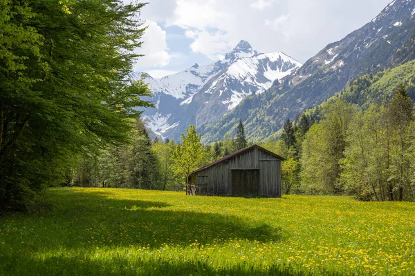 Beautiful Landscape Wooden Hut Forest — Photo