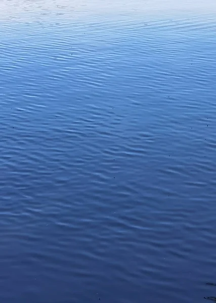 Colpo Verticale Una Calma Acqua Blu — Foto Stock