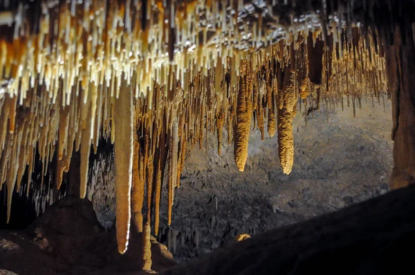 Gros Plan Formation Des Stalactites Dans Les Grottes Jenolan Sydney — Photo