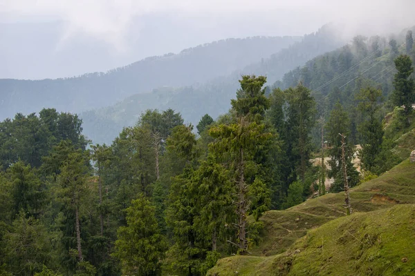 Eine Schöne Aufnahme Von Bäumen Mit Bergen Hintergrund — Stockfoto