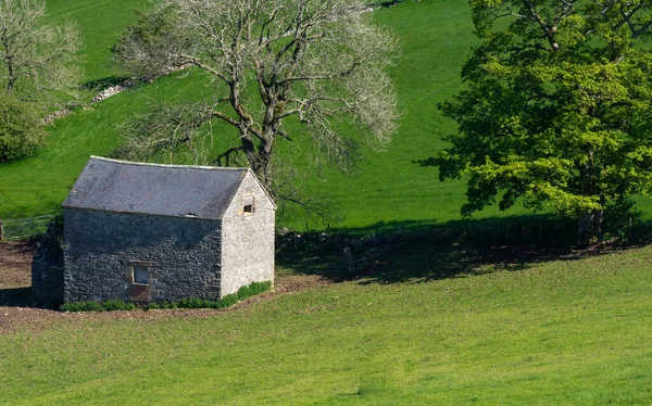 Gros Plan Une Petite Maison Sur Colline Couverte Verdure — Photo