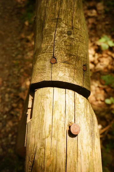 Tiro Vertical Trozos Madera Clavados Uno Otro Bosque — Foto de Stock