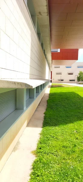 Disparo Vertical Césped Verde Lado Edificio Durante Día Soleado —  Fotos de Stock
