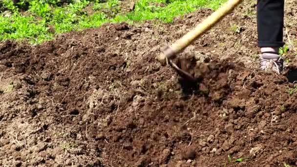 Vídeo Homem Trabalhador Noite Chão Sua Fazenda Com Uma Enxada — Vídeo de Stock