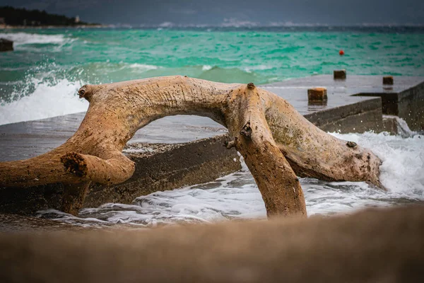 Tiro Perto Enormes Troncos Afogam Costa Por Ondas Fortes — Fotografia de Stock