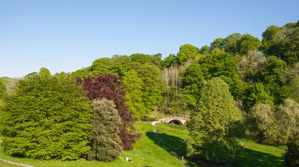 Primer Plano Una Montaña Cubierta Vegetación Bajo Cielo Azul — Foto de Stock