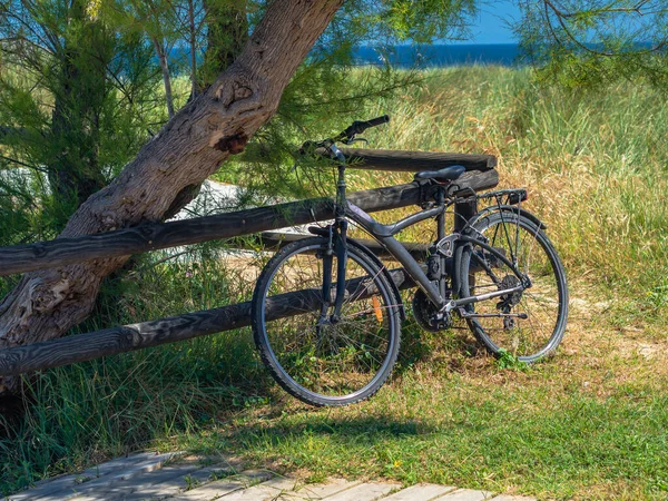 Väg Cykel Nära Ett Trästaket Naturen — Stockfoto