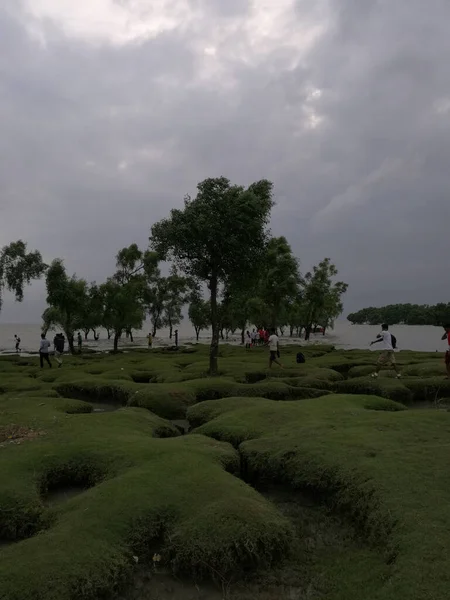 Uma Foto Vertical Praia Mar Guliakhali Bangladesh — Fotografia de Stock