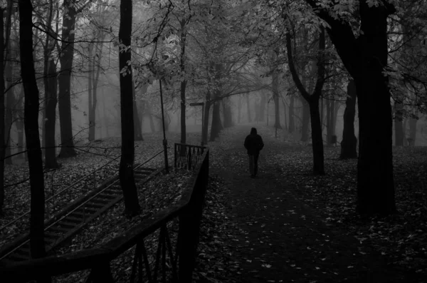 Uomo Che Parla Una Passeggiata Una Nebbiosa Mattina Autunno Nel — Foto Stock