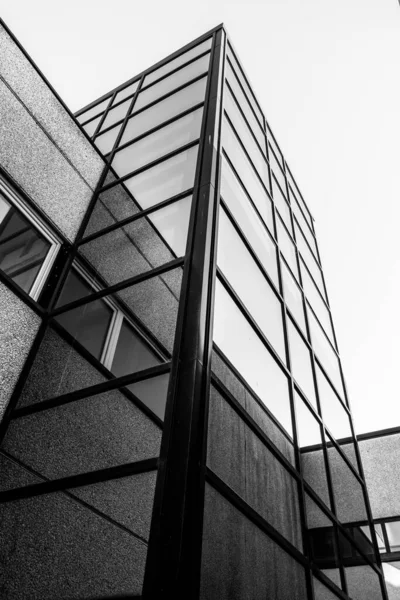 Eine Vertikale Graustufenaufnahme Eines Modernen Glasgebäudes — Stockfoto