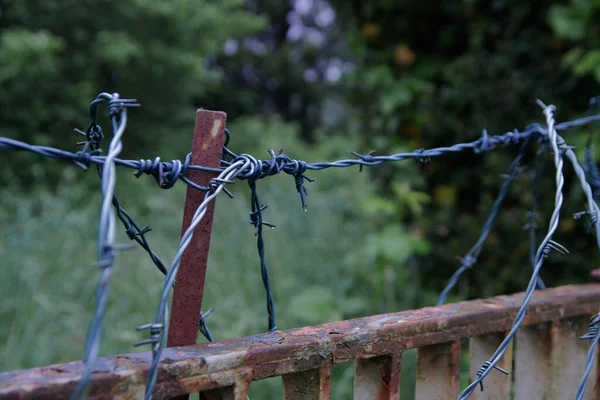 Tiro Foco Seletivo Arame Farpado Cercas Enferrujadas Protegendo Uma Garda — Fotografia de Stock