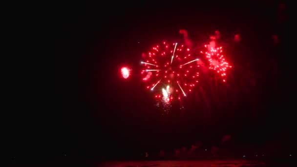 Bel Colpo Fuochi Artificio Sullo Sfondo Cielo Scuro — Video Stock