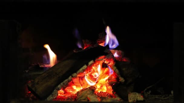 Крупный План Пылающего Огня Камине — стоковое видео