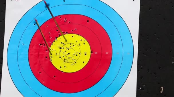 Closeup Shot Arrows Hitting Target — Stock Video