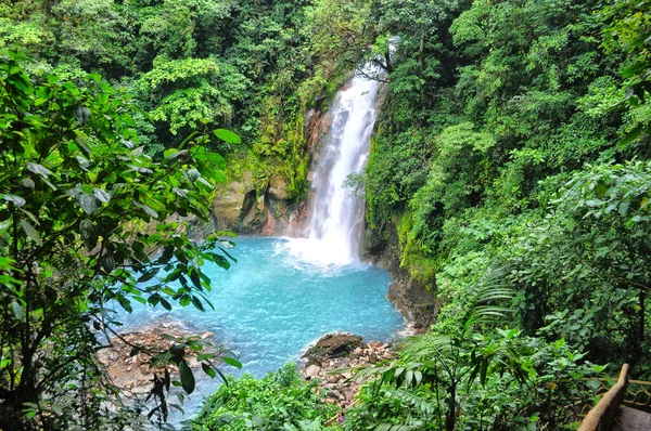 Славетний Пейзаж Водоспаду Національному Парку Вулкан Теноріо Коста Риці — стокове фото