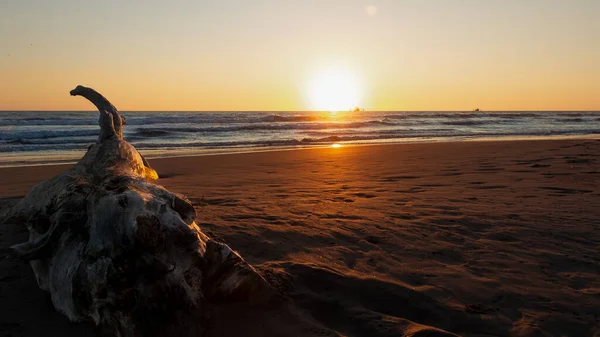 Una Hermosa Escena Puesta Sol Sobre Mar Orilla Arenosa Con — Foto de Stock