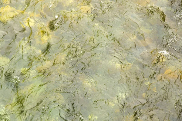 Una Toma Aérea Agua Río Con Fondo Verde —  Fotos de Stock