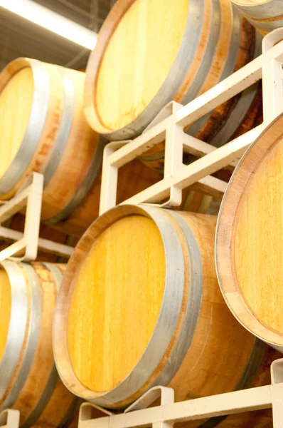 Tiro Vertical Barris Madeira Para Fermentar Vinho — Fotografia de Stock
