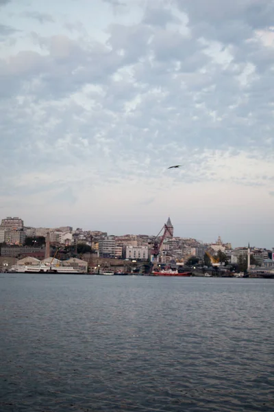 Vertikální Snímek Istanbulu Turecko Nad Jezerem Mořem Pod Zataženou Oblohou — Stock fotografie