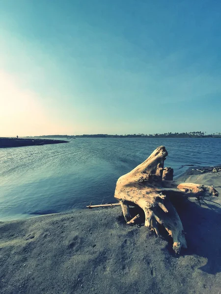 Plano Vertical Playa Depok Que Está Cerca Playa Parangtritis Isla — Foto de Stock