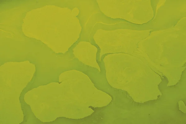 Abstrakt Grön Illustration För Tapeter Och Bakgrund — Stockfoto