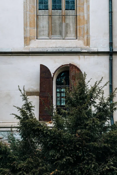 Ένα Κάθετο Πλάνο Ενός Παλιού Παραθύρου Παντζούρια Λευκό Τοίχο — Φωτογραφία Αρχείου