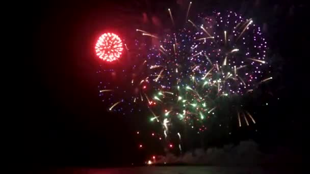 Hermoso Fuegos Artificiales Colores Salpicando Oscuro Cielo Negro — Vídeos de Stock