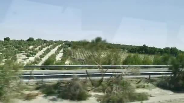 Mouvement Rapide Travers Les Champs Agricoles Avec Une Végétation Dense — Video