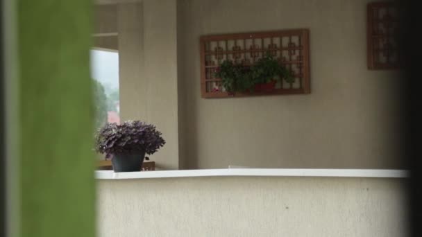 Une Vidéo Balcon Avec Des Plantes Suspendues Mur Pendant Une — Video