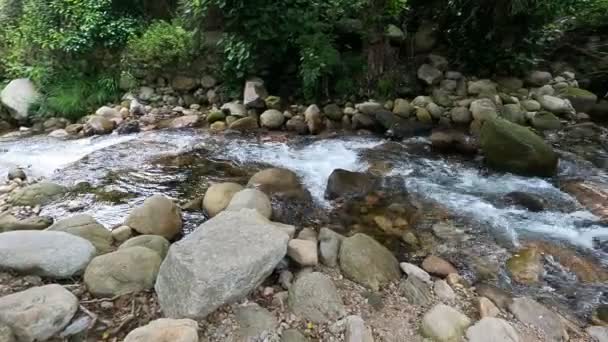 一条奔流在岩石上的生机勃勃的河流风景 — 图库视频影像