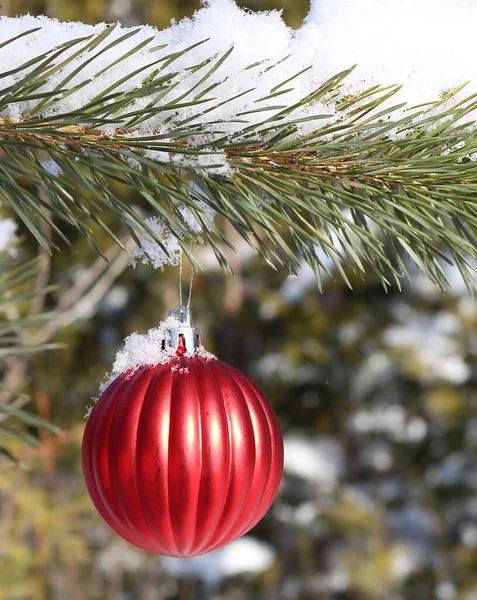 雪に覆われた木の上に赤いクリスマスの飾りの垂直ショット — ストック写真