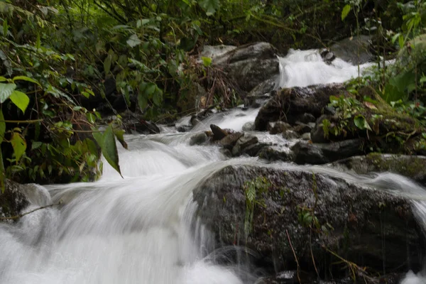 Una Vista Panoramica Fiume Che Scorre Attraverso Foresta — Foto Stock