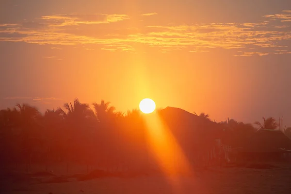 Eine Lebendige Szene Des Sonnenuntergangs Hinter Den Bäumen — Stockfoto