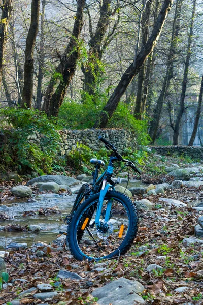 Eine Vertikale Aufnahme Eines Geparkten Fahrrads Wald — Stockfoto
