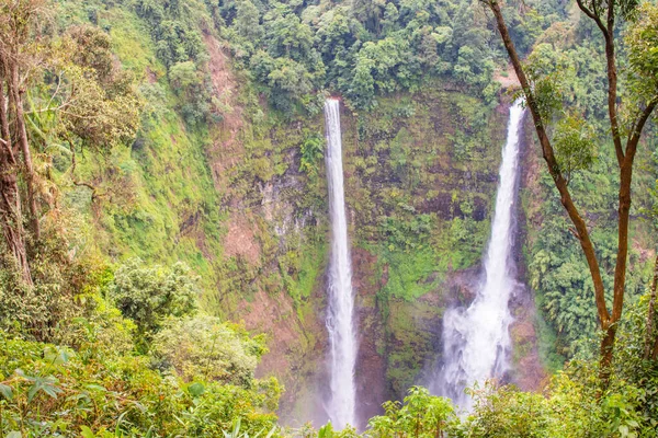 Uma Cachoeira Cênica Meio Uma Floresta Pakse Laos Sudeste Asiático — Fotografia de Stock