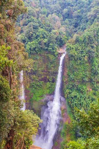 Scenic Waterfalls Middle Forest Pakse Laos Southeast Asia — Stock Photo, Image