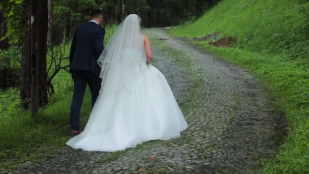 Een Achteraanzicht Van Bruid Bruidegom Lopend Een Stoep Loopbrug — Stockvideo