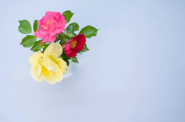 Trzy Kwiaty Różnych Kolorach Przezroczystej Szklanej Wazonie Niebieskiej Powierzchni — Zdjęcie stockowe